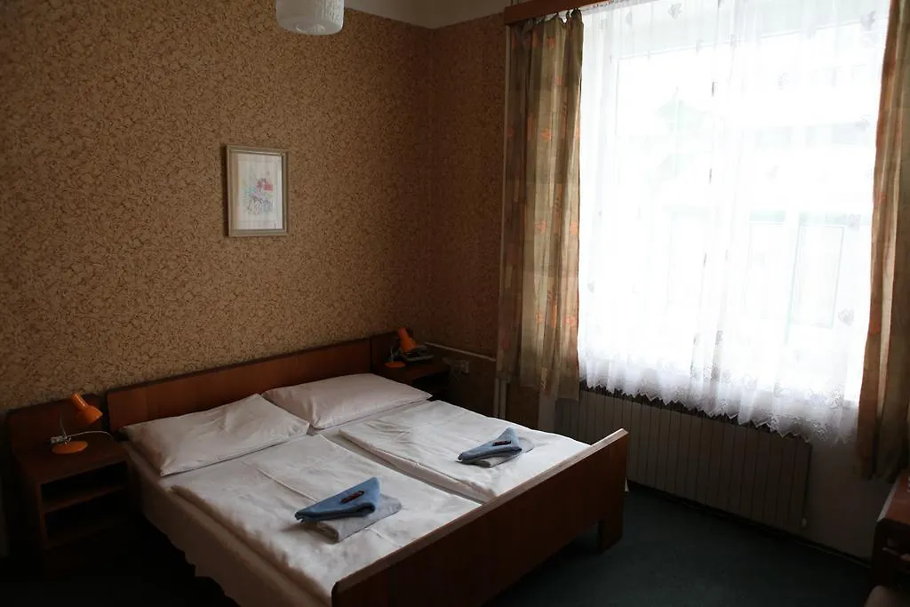Hotel Michle Prag 3*,